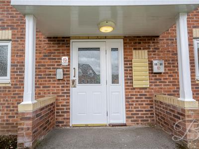 Picture 14